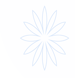 南宫28ng娱乐最新官网